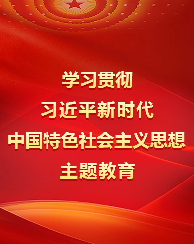 學習貫徹習近平新時代中國特色社會主義思想主題教育